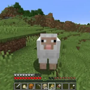 Minecraft Java Edition v1.21 FREE APK Download 2025 16 Minecraft Java Feed Animals