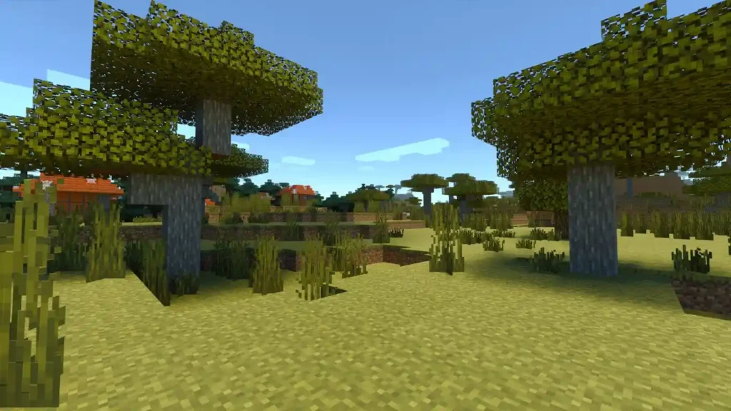 Savana Biome