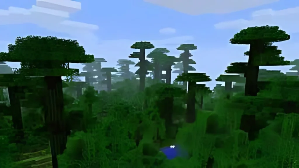 Jungle biome