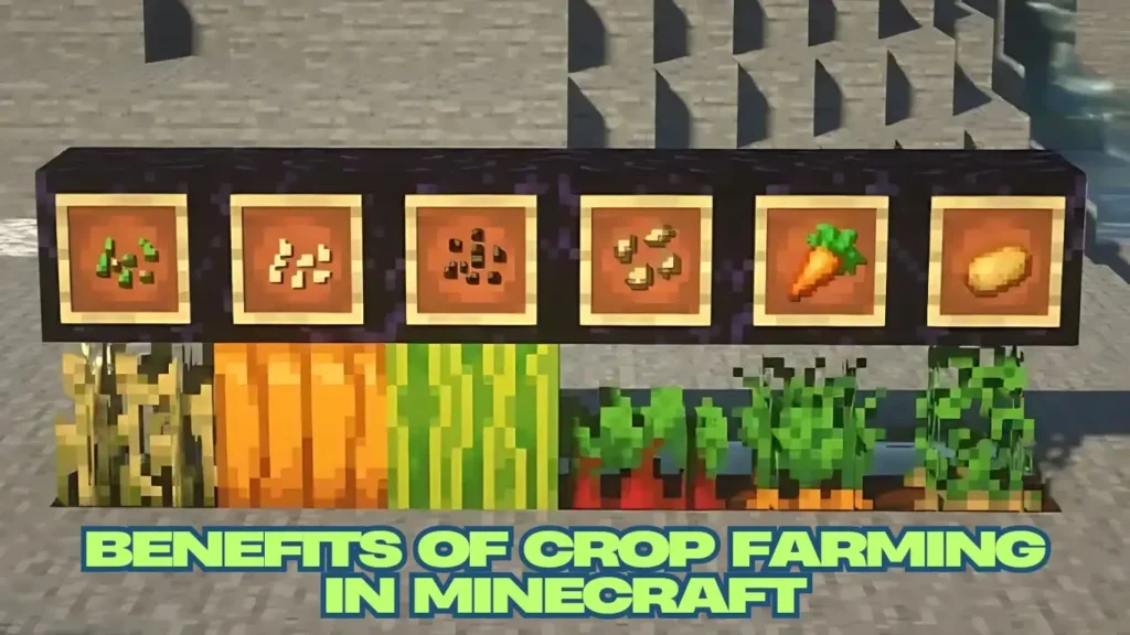 Benefits of Different Crops in minecraft